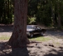 SPN_1263.jpg