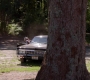 SPN_1265.jpg