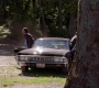 SPN_1266.jpg