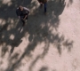 Filename=SPN_1272.jpg
Filesize=243KiB
Dimensions=1912x1072
Date added=Oct 01, 2021 SPN_1272.jpg