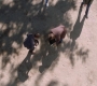 Filename=SPN_1274.jpg
Filesize=244KiB
Dimensions=1912x1072
Date added=Oct 01, 2021 SPN_1274.jpg