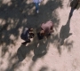 Filename=SPN_1275.jpg
Filesize=246KiB
Dimensions=1912x1072
Date added=Oct 01, 2021 SPN_1275.jpg