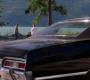 SPN_1279.jpg