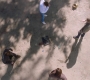 Filename=SPN_1311.jpg
Filesize=206KiB
Dimensions=1912x1072
Date added=Oct 01, 2021 SPN_1311.jpg