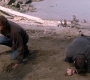 Filename=SPN_1458.jpg
Filesize=190KiB
Dimensions=1912x1072
Date added=Oct 01, 2021 SPN_1458.jpg