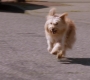 Filename=SPN_2054.jpg
Filesize=132KiB
Dimensions=1912x1072
Date added=Oct 01, 2021 SPN_2054.jpg