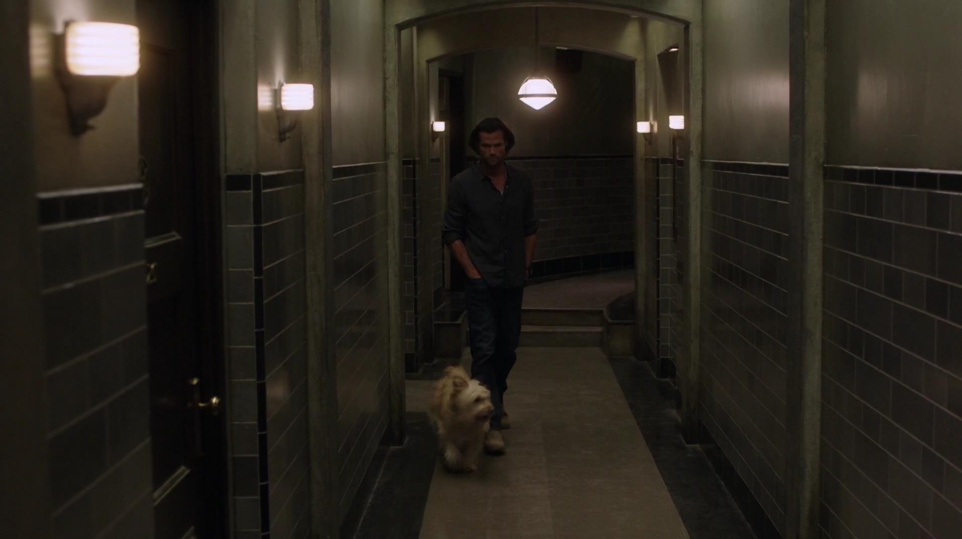 SPN_1379.jpg