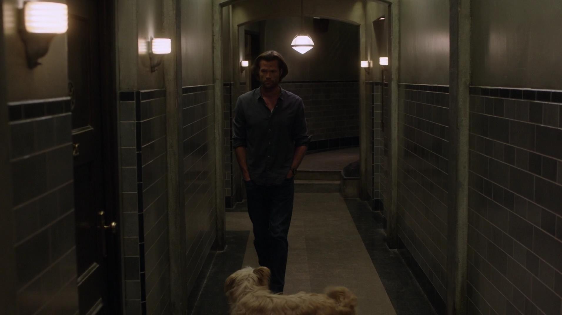 SPN_1381.jpg