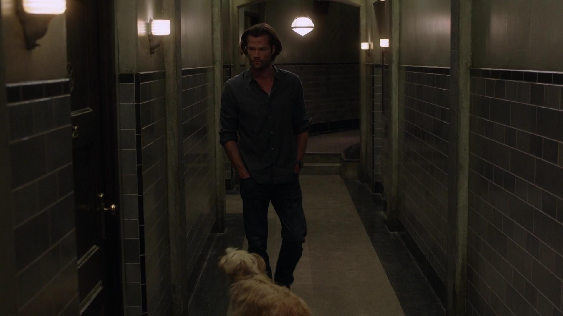 SPN_1382.jpg