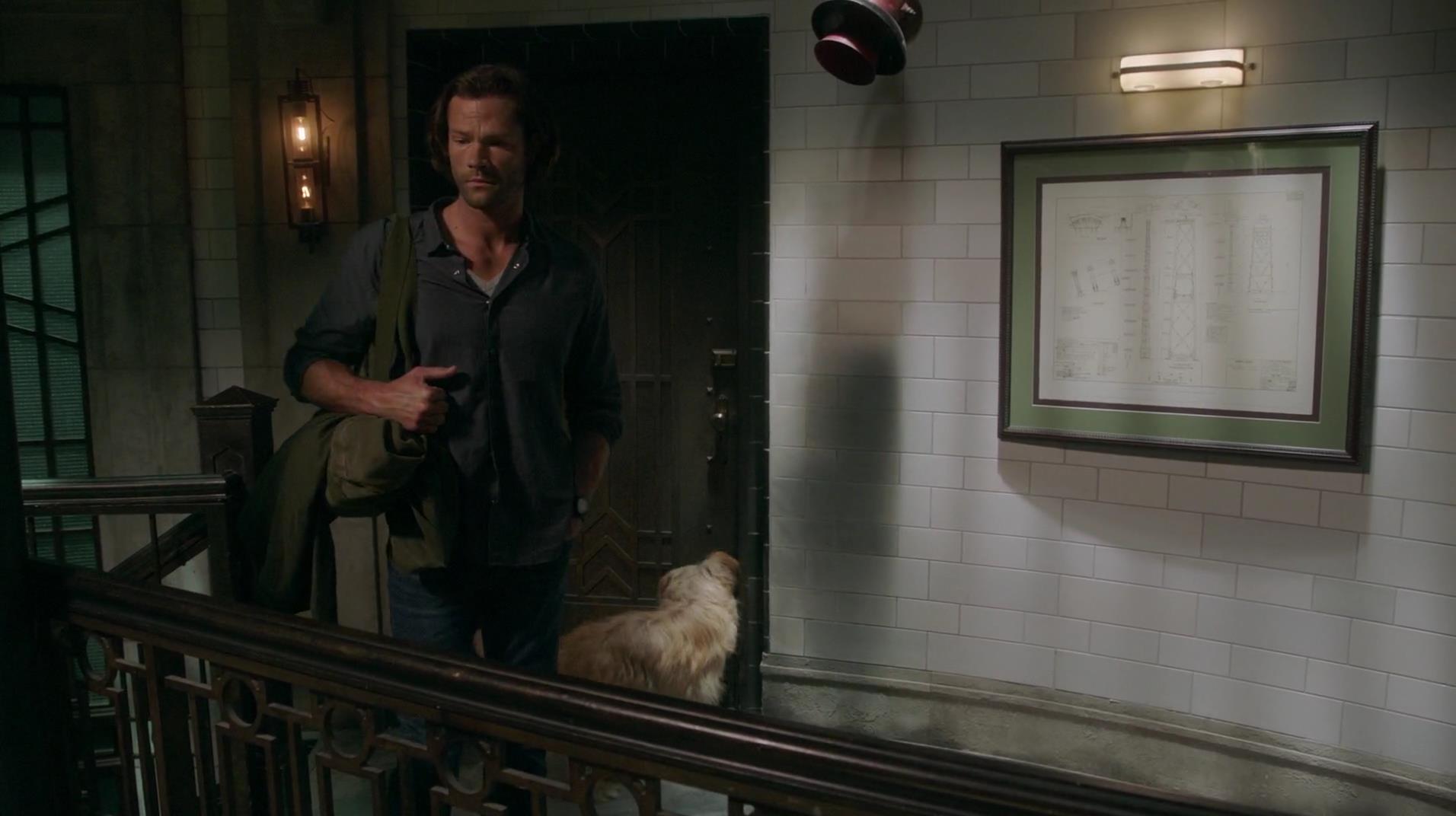 SPN_1536.jpg