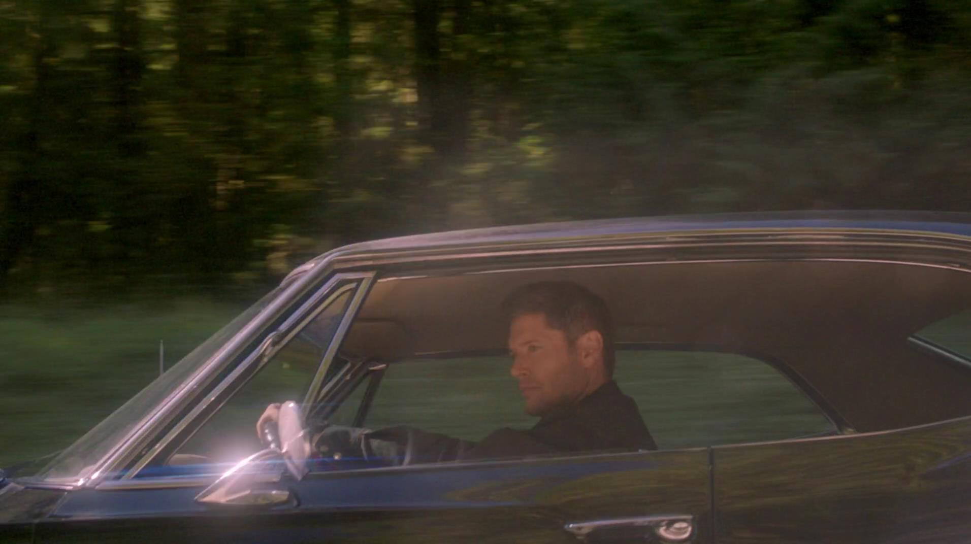 SPN_1833.jpg