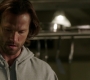 Filename=SPN_1364.jpg
Filesize=109KiB
Dimensions=1912x1072
Date added=Oct 01, 2021 SPN_1364.jpg