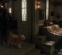 Filename=SPN_1514.jpg
Filesize=119KiB
Dimensions=1912x1072
Date added=Oct 01, 2021 SPN_1514.jpg