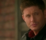 SPN_1684.jpg