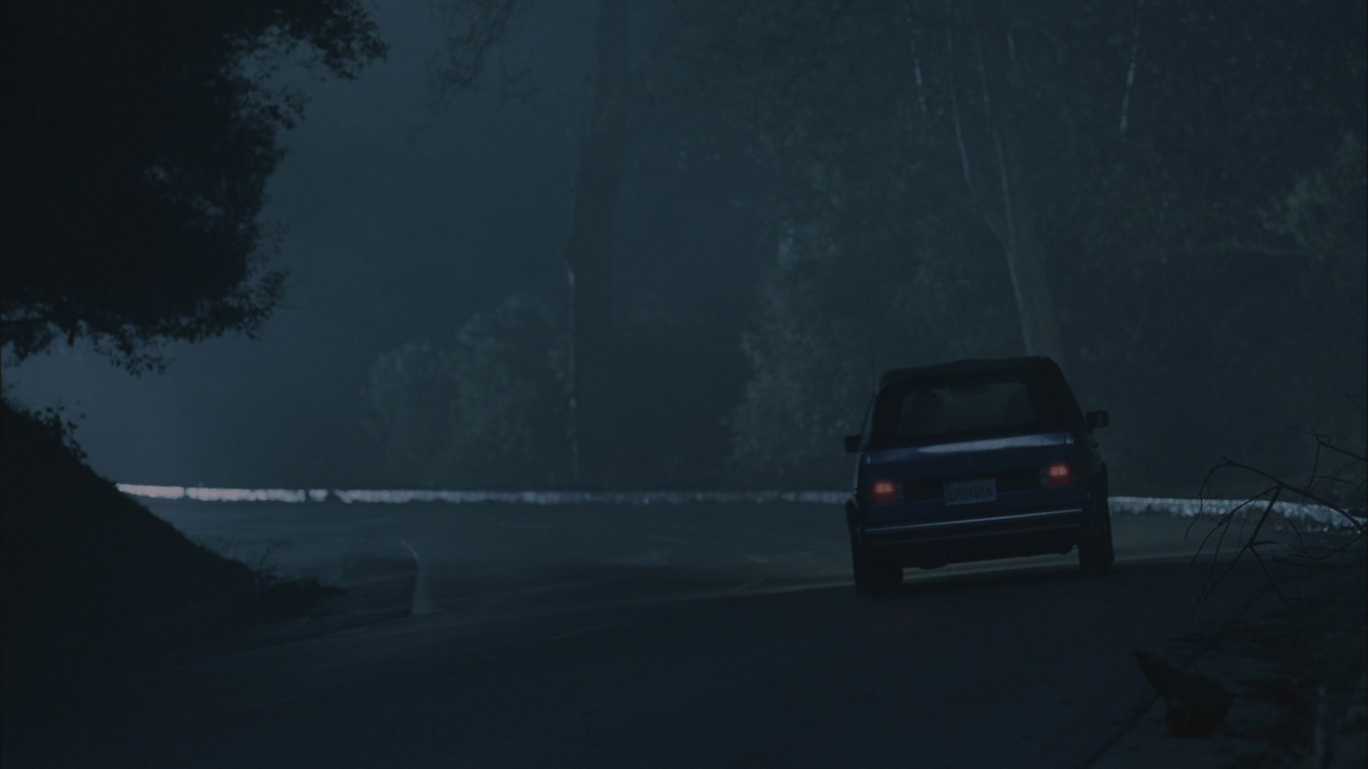 SPN_0367.jpg