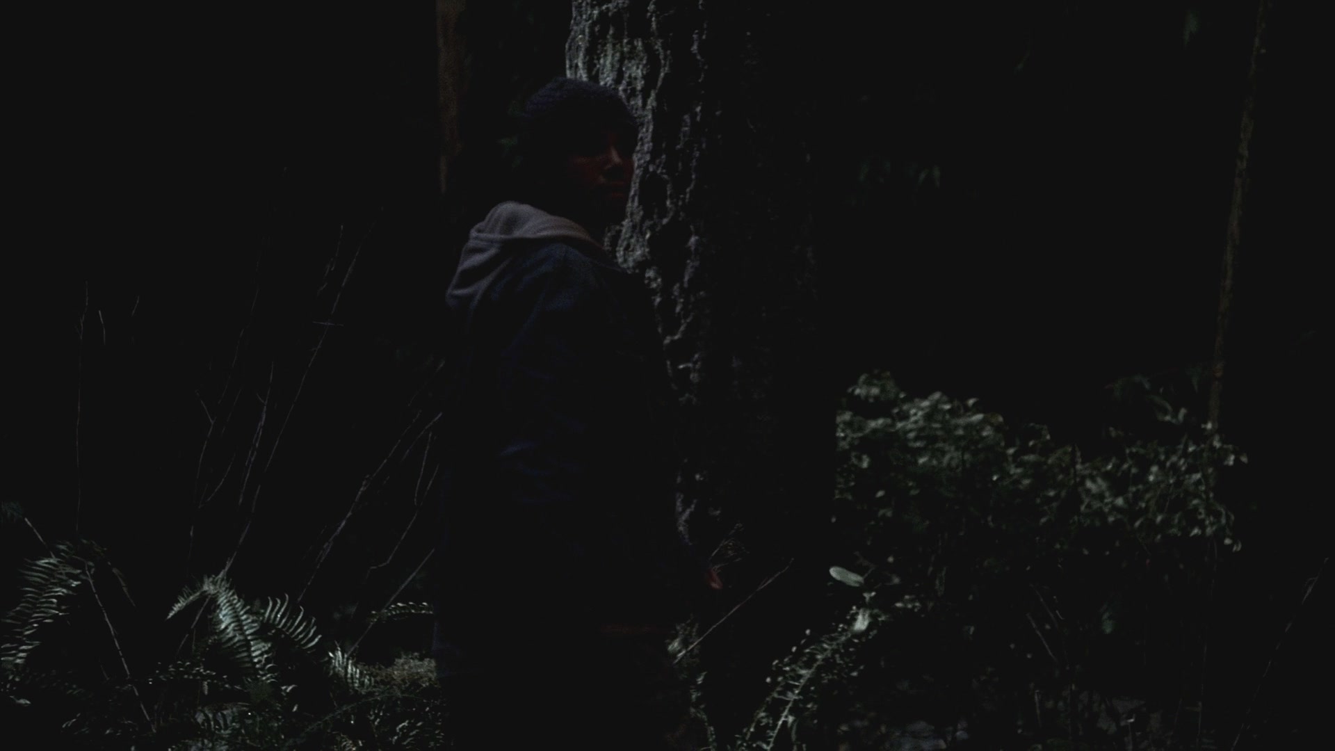 SPN_0019.jpg