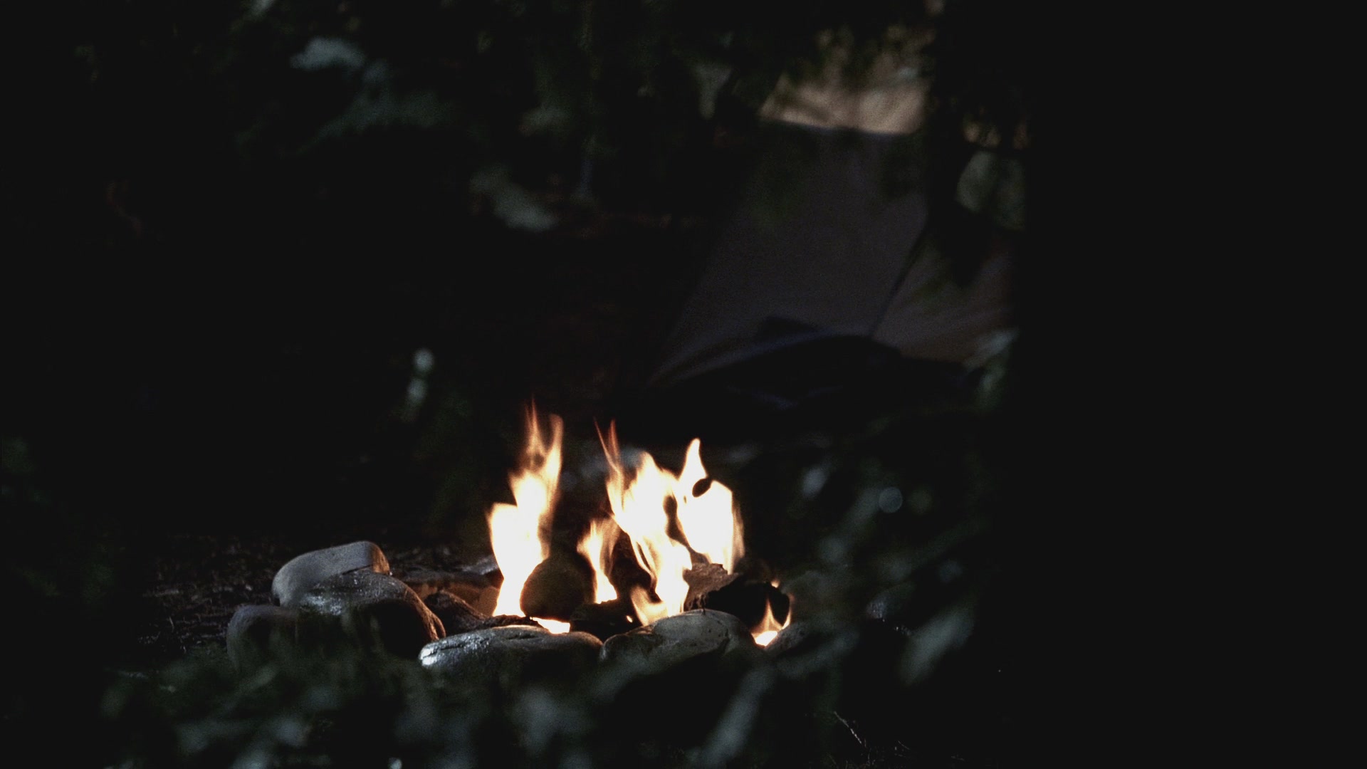SPN_0021.jpg
