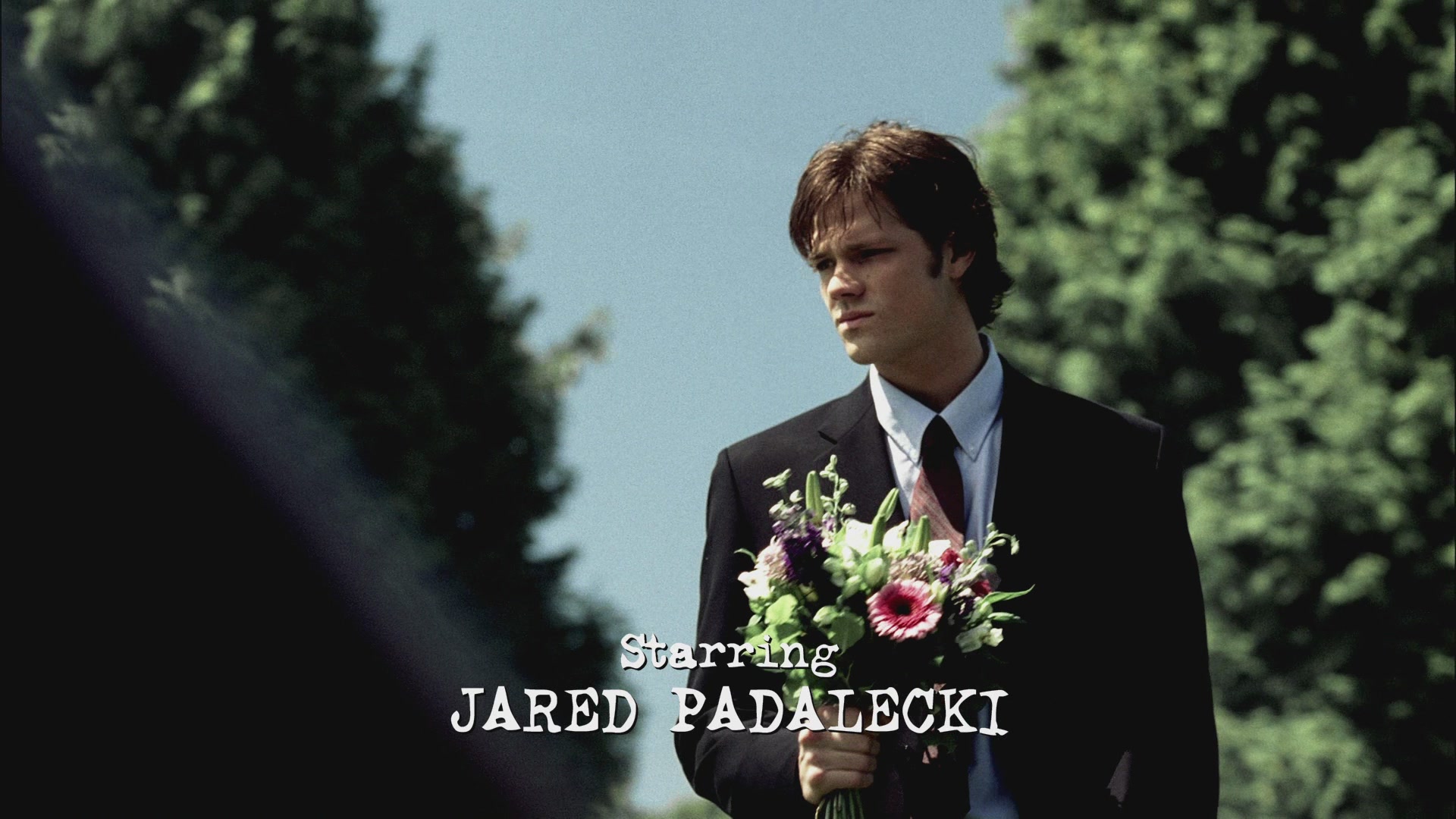 SPN_0051.jpg