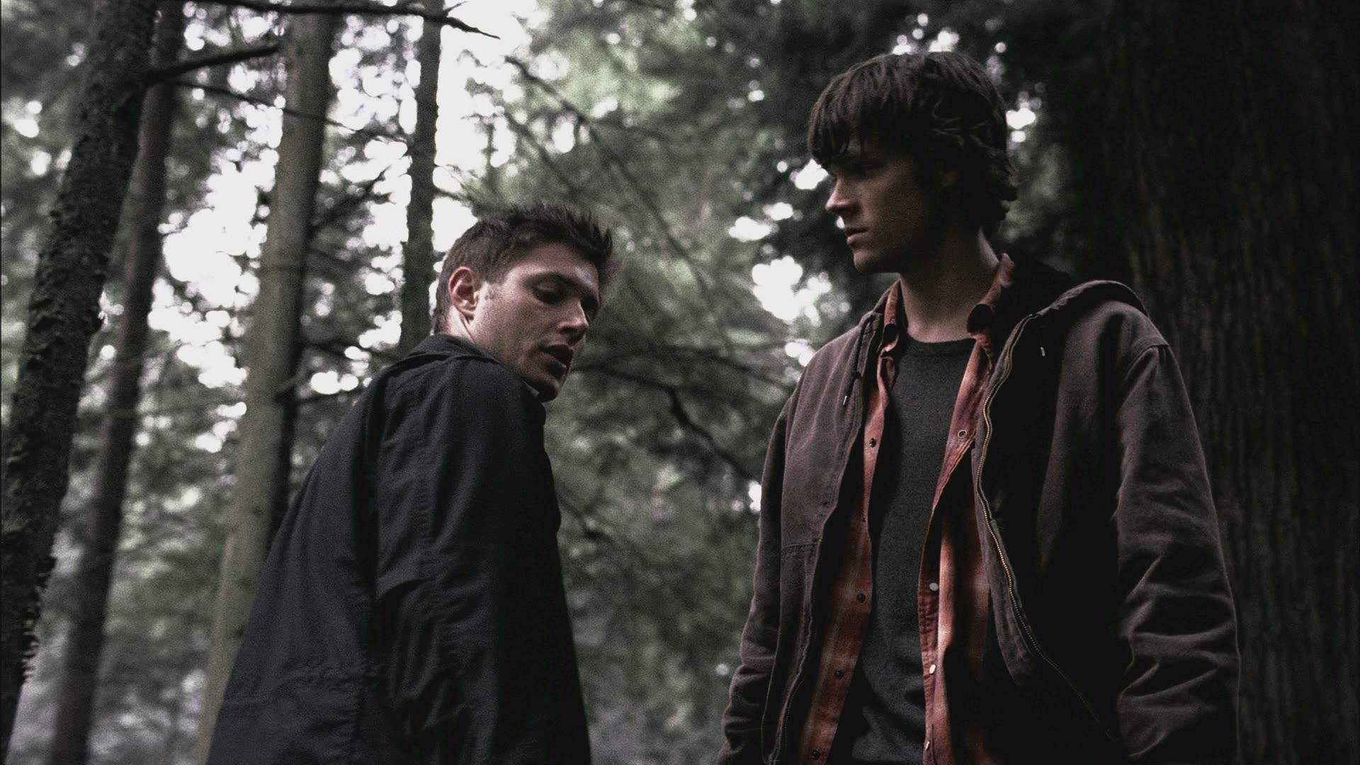 SPN_0523.jpg