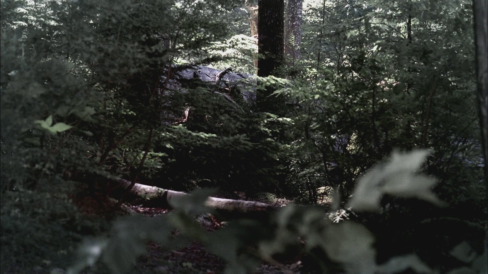 SPN_0548.jpg