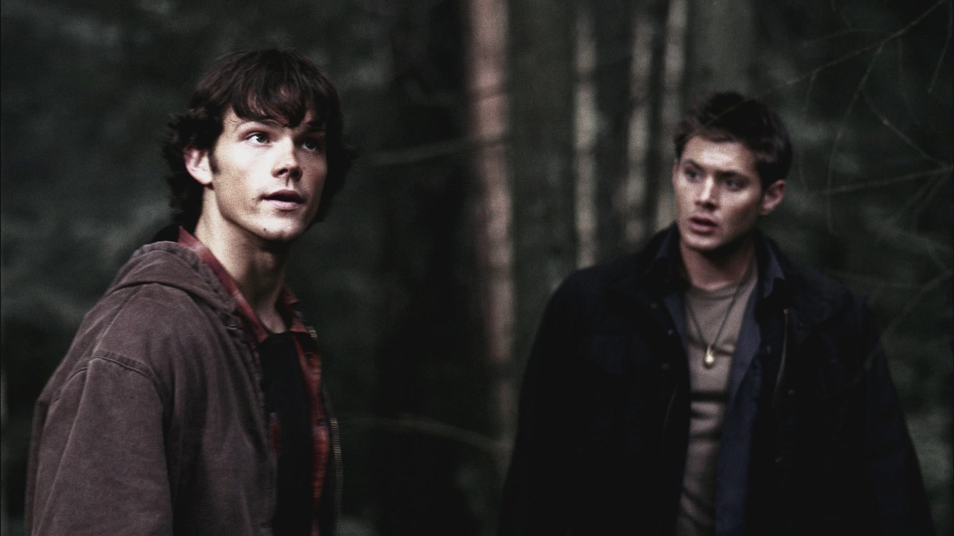 SPN_0567.jpg