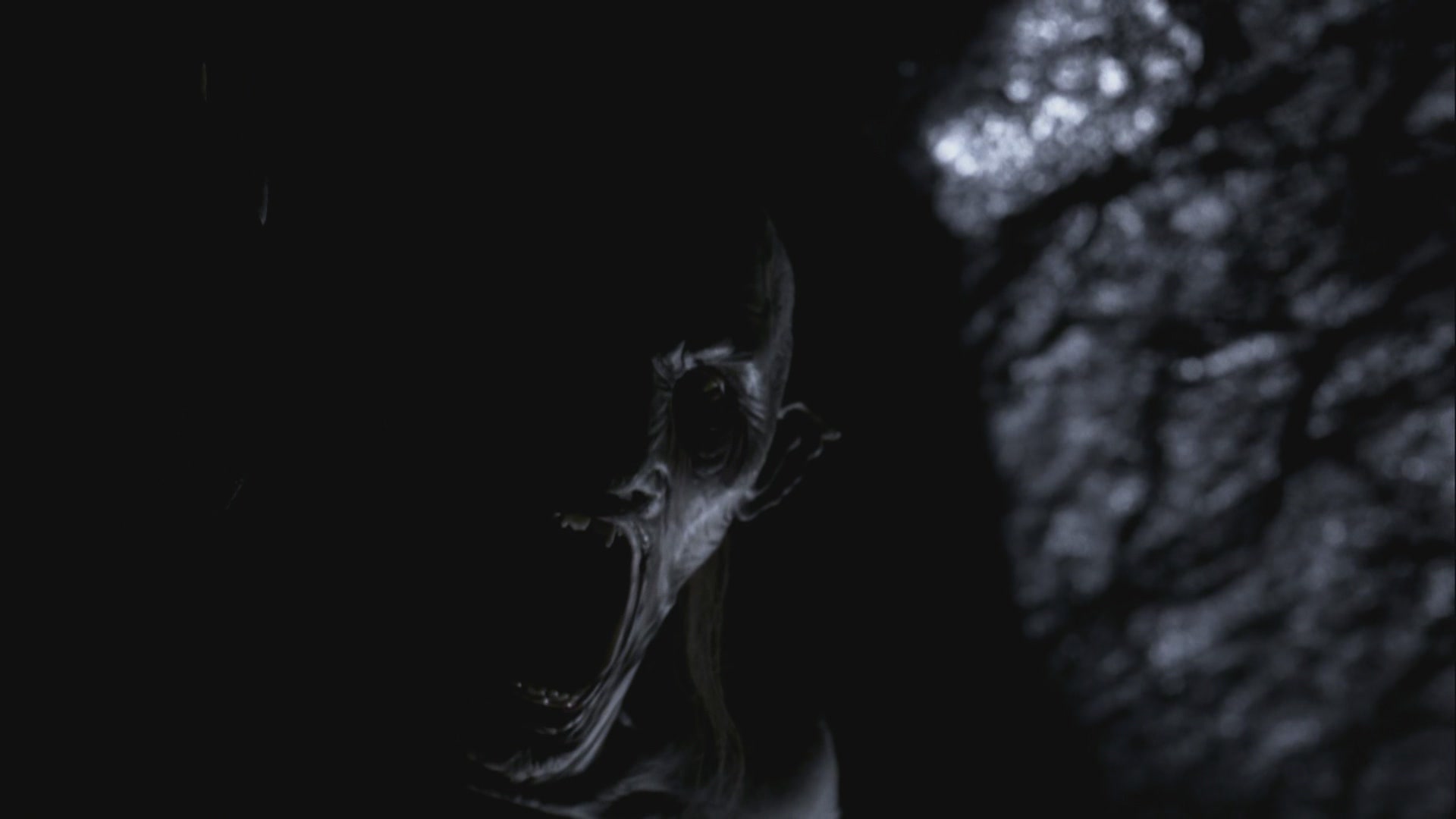 SPN_0952.jpg