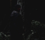 SPN_0019.jpg
