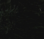 SPN_0025.jpg