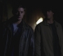 SPN_0296.jpg