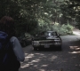 SPN_0383.jpg