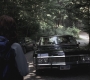 SPN_0384.jpg