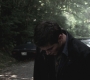 SPN_0395.jpg