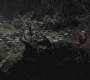 SPN_0420.jpg