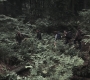 SPN_0422.jpg