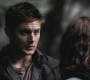 SPN_0462.jpg