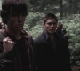 SPN_0485.jpg