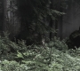 SPN_0486.jpg
