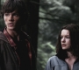 SPN_0513.jpg