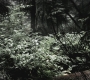 SPN_0514.jpg
