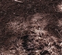 SPN_0520.jpg