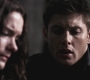 SPN_0532.jpg