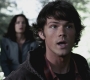 SPN_0551.jpg