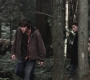 SPN_0564.jpg