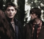 SPN_0613.jpg