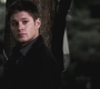 SPN_0729.jpg