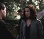 SPN_0736.jpg