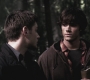 SPN_0748.jpg