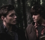 SPN_0749.jpg