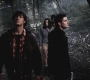 SPN_0779.jpg