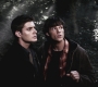 SPN_0782.jpg